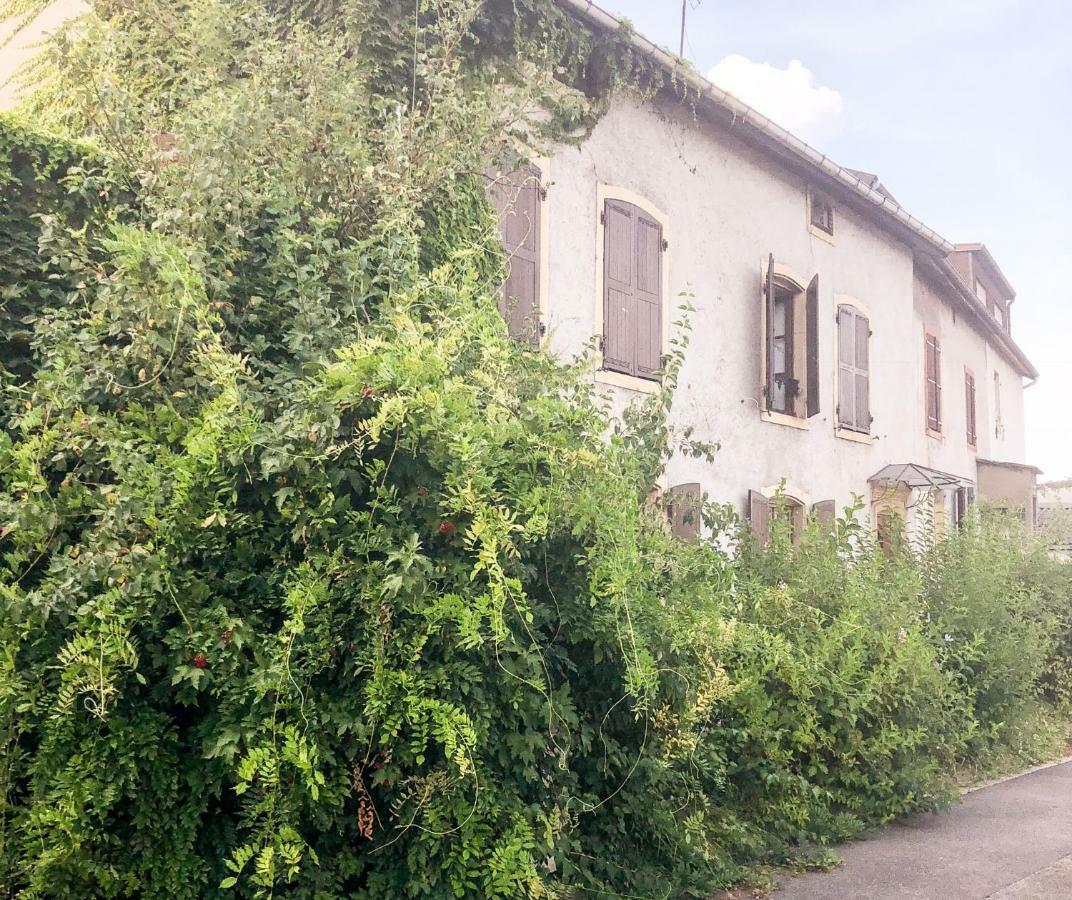 Gite 100M2, Jardin Prive, 3 Chambres A Mondelange エクステリア 写真